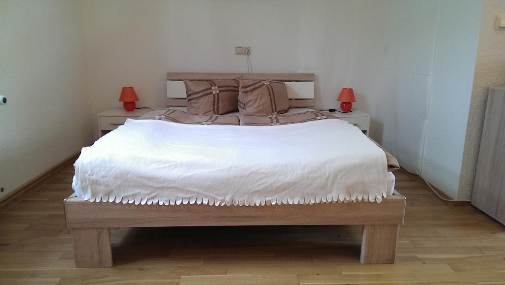 Pension Amplonius Ерфурт Номер фото